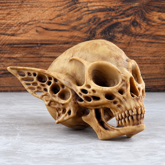 🎁Last Day 60% OFF - 🧚💀 Relic of the Forgotten Fae – Ancient Gothic Fantasy Skull for Dark & Mysterious Collections