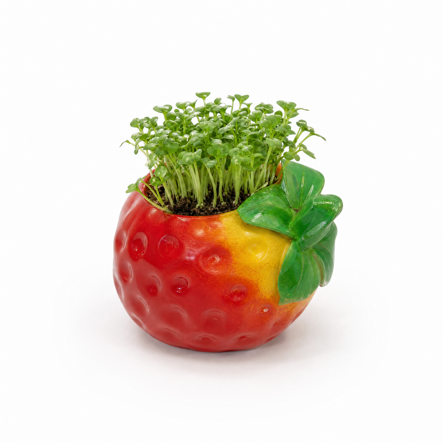 Cute Veggie Garden Planter