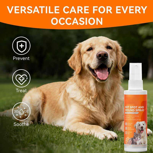 49% OFF This Week Promotions🎉🎉Itch Relief Spray –Vet Recommended Skin Soothing Quantum Silver Spray for Dogs & Cats