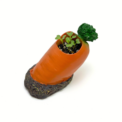 Cute Veggie Garden Planter