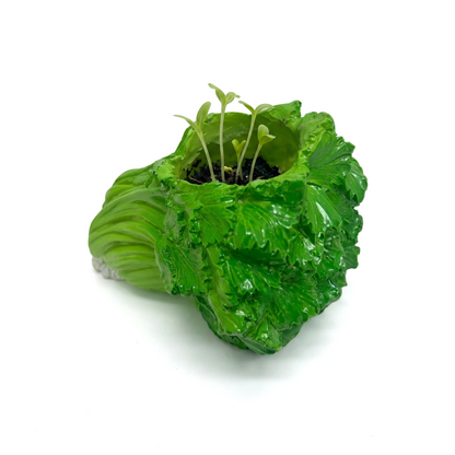 Cute Veggie Garden Planter