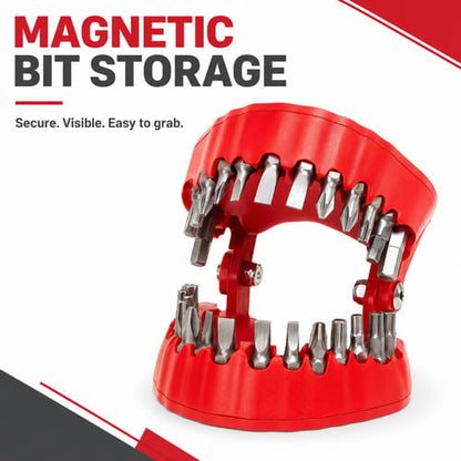 Barn Star 28 pc. Dental Style Bit Set with Stubby Handle
