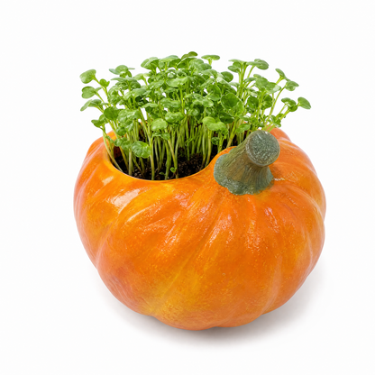 Cute Veggie Garden Planter
