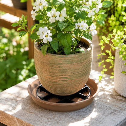 🪴 Root-Saving Raised Pot Stand – Better Airflow, Faster Drainage & Cleaner Floors