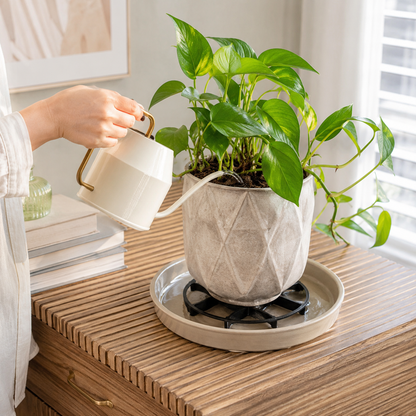 🪴 Root-Saving Raised Pot Stand – Better Airflow, Faster Drainage & Cleaner Floors