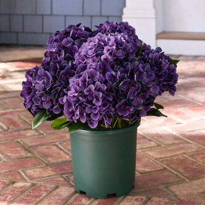 🔥Last Day 70% OFF💐Artificial Outdoor Hydrangea Flowers - UV resistant, Waterproof, Windproof