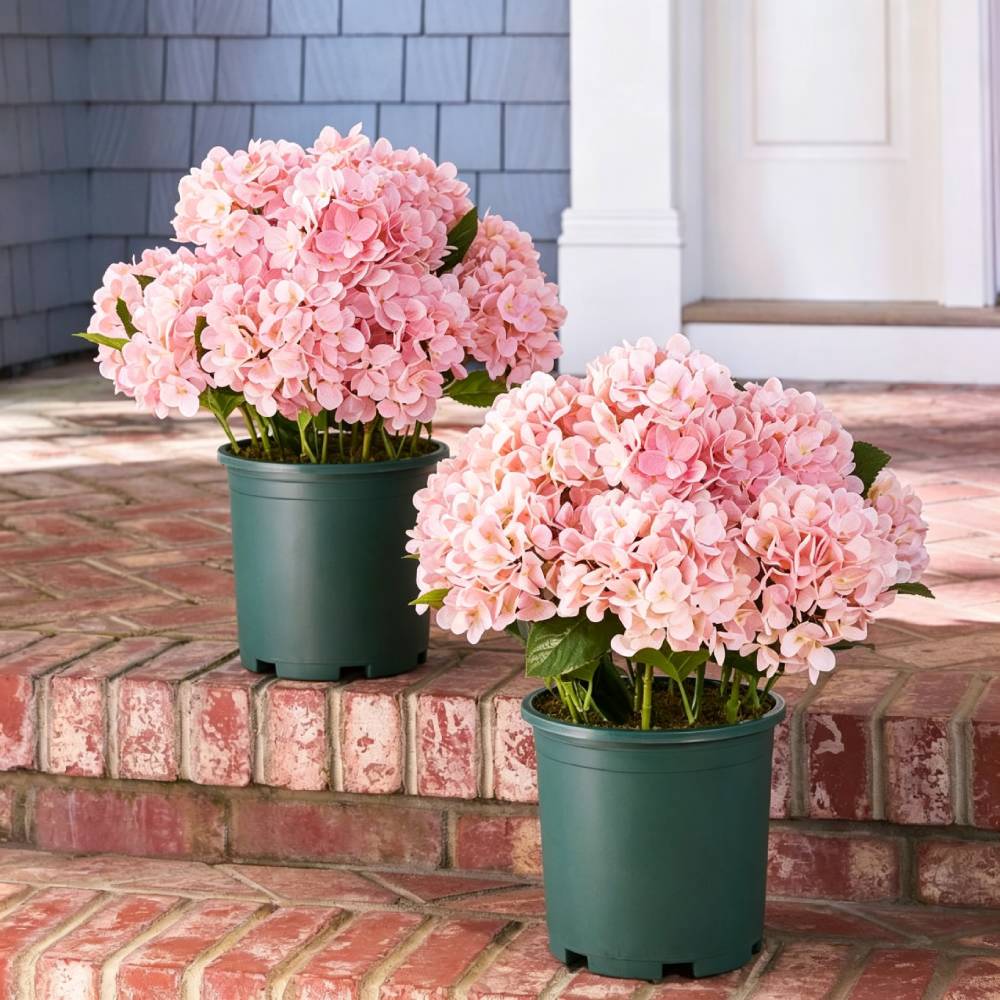 🔥Last Day 70% OFF💐Artificial Outdoor Hydrangea Flowers - UV resistant, Waterproof, Windproof