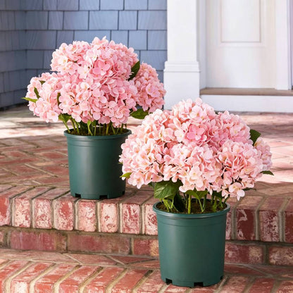 🔥Last Day 70% OFF💐Artificial Outdoor Hydrangea Flowers - UV resistant, Waterproof, Windproof