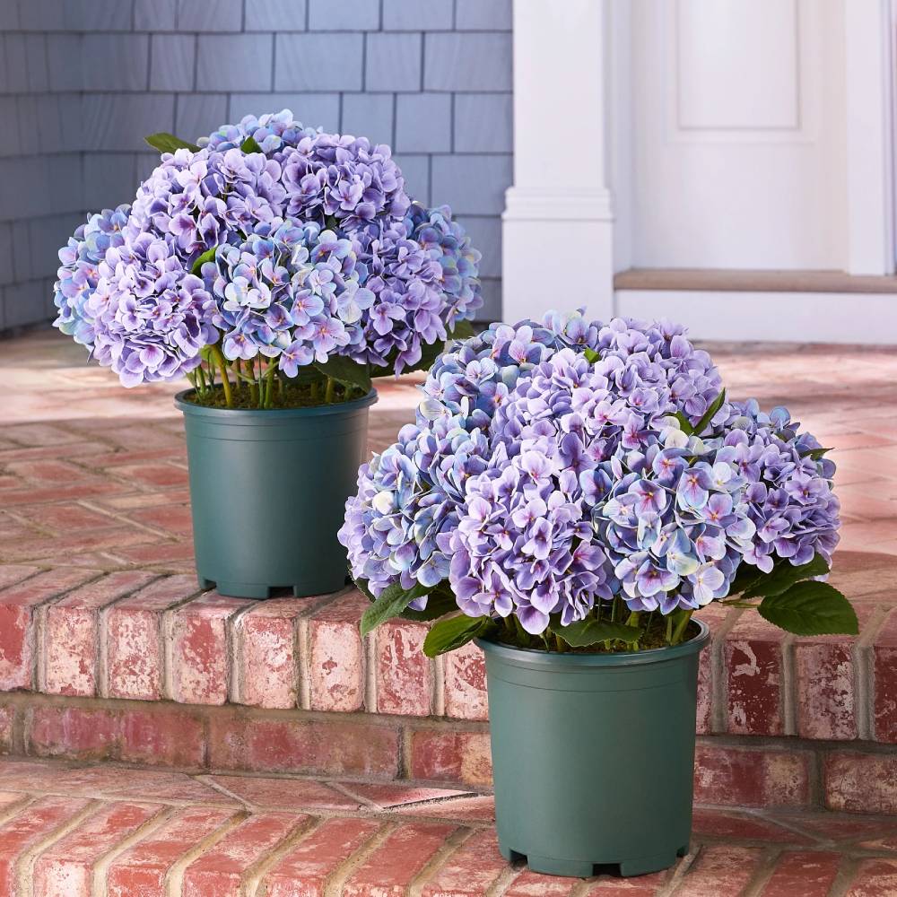 🔥Last Day 70% OFF💐Artificial Outdoor Hydrangea Flowers - UV resistant, Waterproof, Windproof