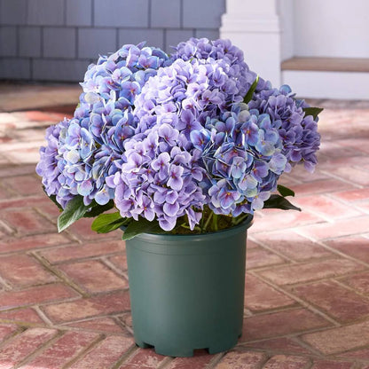 🔥Last Day 70% OFF💐Artificial Outdoor Hydrangea Flowers - UV resistant, Waterproof, Windproof