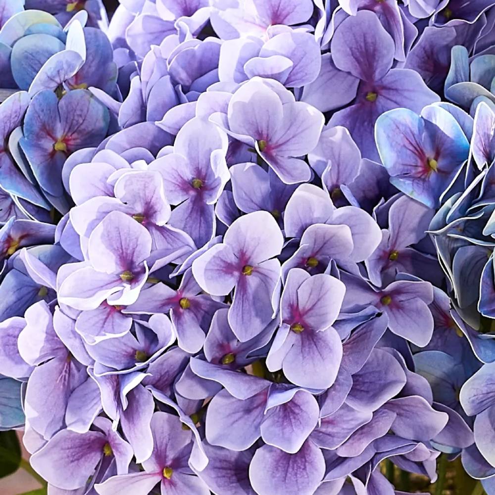 🔥Last Day 70% OFF💐Artificial Outdoor Hydrangea Flowers - UV resistant, Waterproof, Windproof