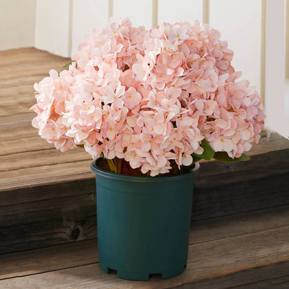 🔥Last Day 70% OFF💐Artificial Outdoor Hydrangea Flowers - UV resistant, Waterproof, Windproof