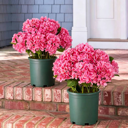 🔥Last Day 70% OFF💐Artificial Outdoor Hydrangea Flowers - UV resistant, Waterproof, Windproof