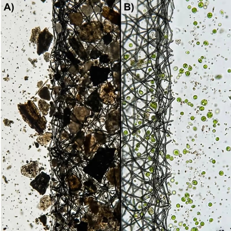 Polymer-Based Water Purification Tablets