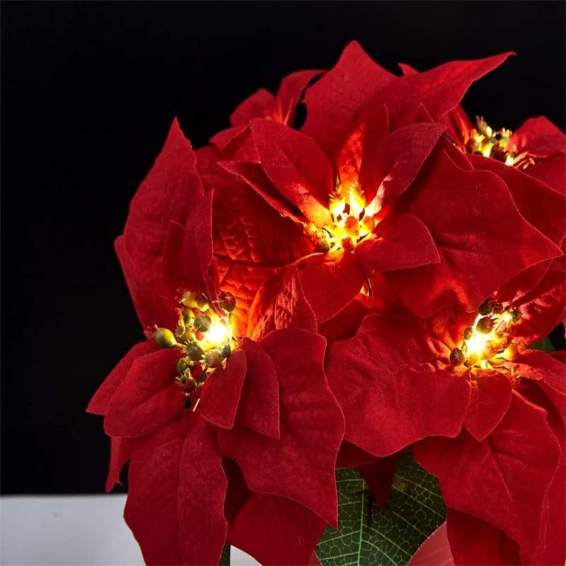 🎉🎁 49% OFF Christmas Gift Decor – Poinsettia LED Garland String Lights