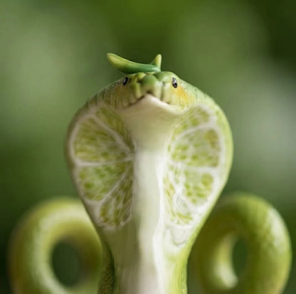 🐍🌿 NEW FOR 2026 – Cobra Plant Pot Decor | Add a Wild Touch to Every Plant