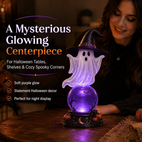 👻Halloween Raven Crystal Ball Lighted Decor