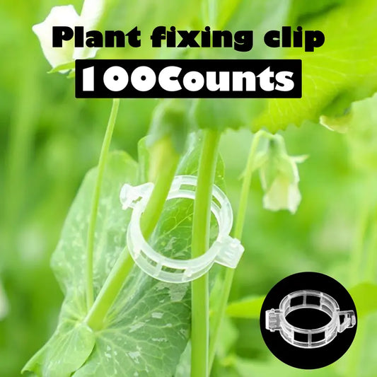 100 Counts Plant Support Clips, Upright Growth Support for Tomato & Grape Vines