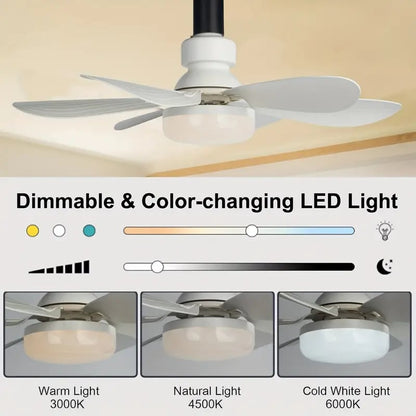 ⏳LIMITED TIME SALE 50% OFF🌀40W LED Ceiling Fan Light – 20.5” Ultra-Quiet with Remote 🎯 | E27 + FREE B22 Adapter 🔌 | For Bedroom 😴, Kitchen 👩‍🍳 & Garage 🛠️ – UK Ready! 🇬🇧