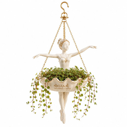 🩰🌿 Turn Small Spaces Into Hanging Garden Art