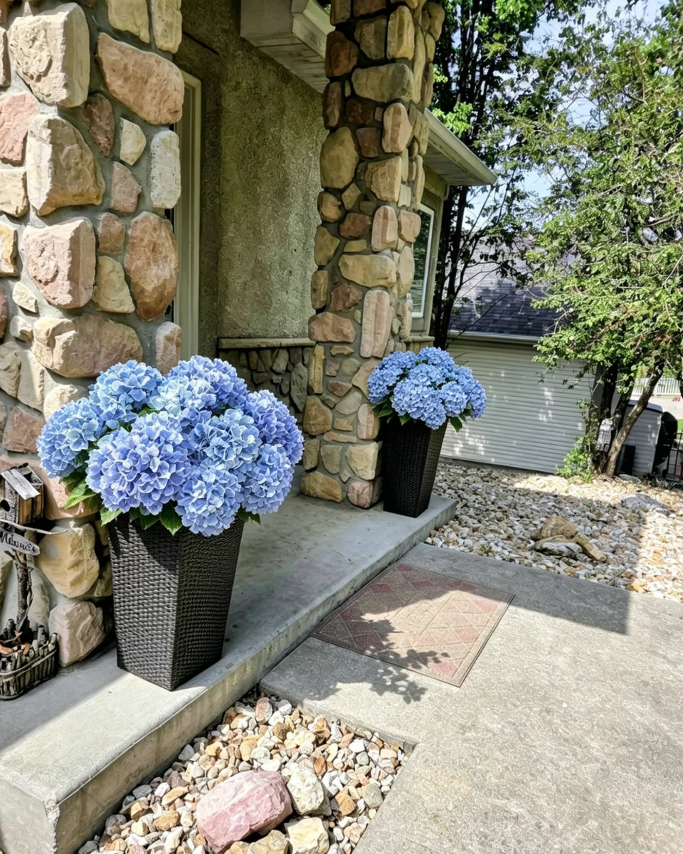 Blue artificial hydrangeas displayed outdoors by a stone home