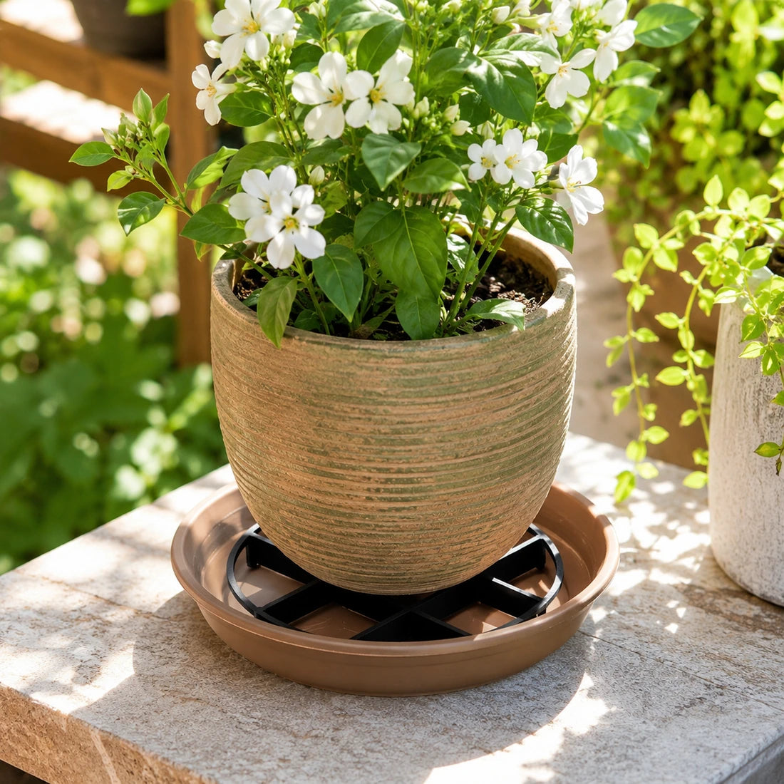 Outdoor flower pot using root-saving pot riser