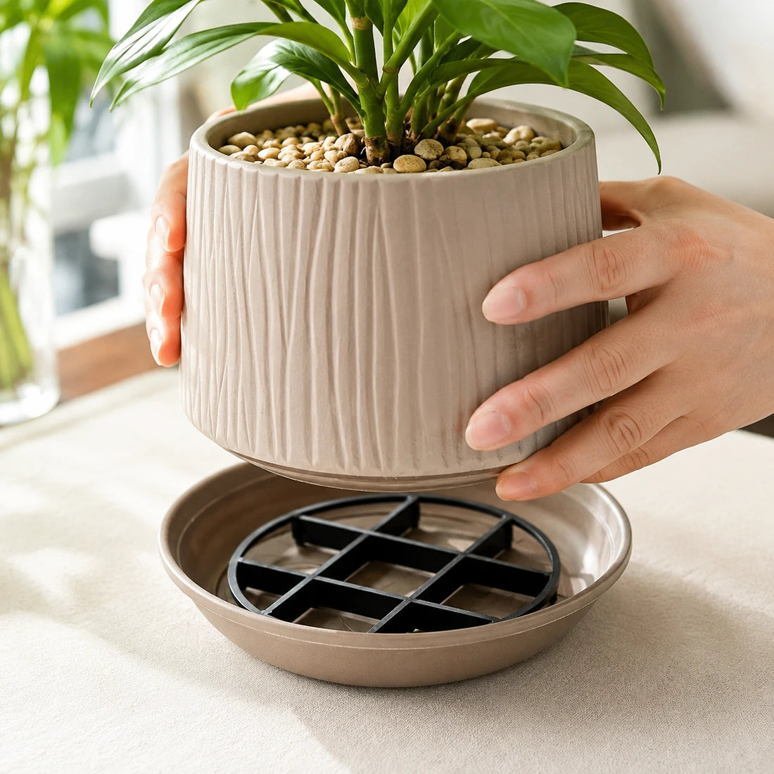 Placing a potted plant on the root-saving pot riser