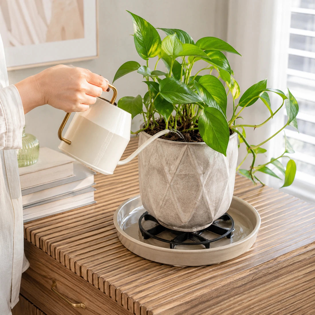 Watering a potted plant using root-saving pot riser