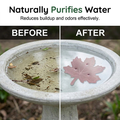 🐦✨Universal Fit Bird Bath Purifier – Keep Water Cleaner Naturally