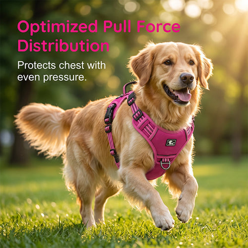 🐕 50% OFF! ✨ Outdoor Heavy-Duty Dog Vest Harness – Ergonomic No-Pull Chest Design, Multi-Point Adjustment & Breathable Mesh Lining – Climbing-Grade Buckles with Control Handle for Safe Walks 🦮