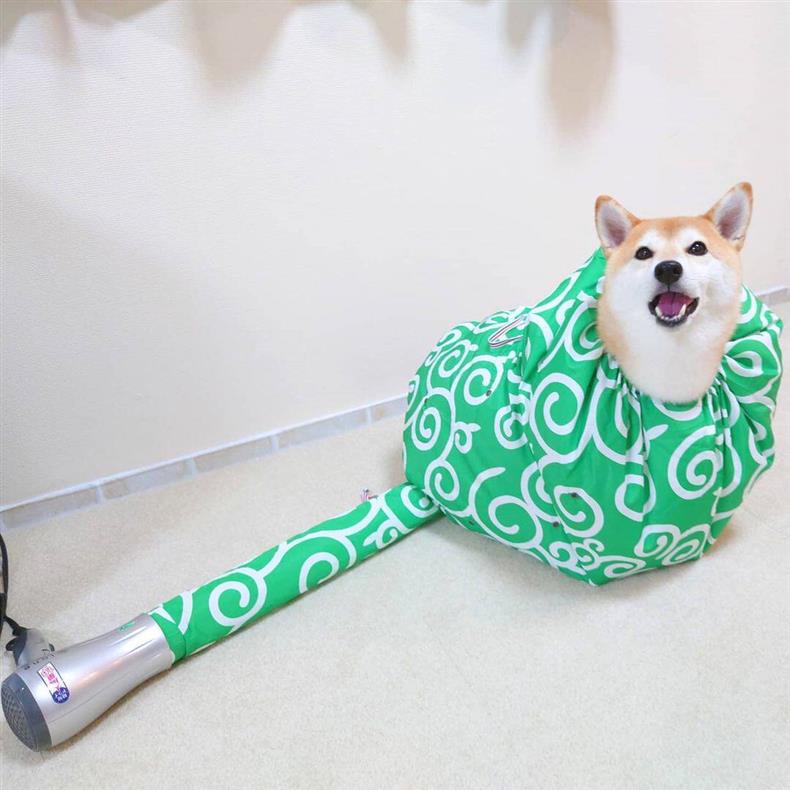 🐶💨 360° Warm-Air Pet Drying Suit – Hands-Free Post-Bath Drying for Dogs & Cats